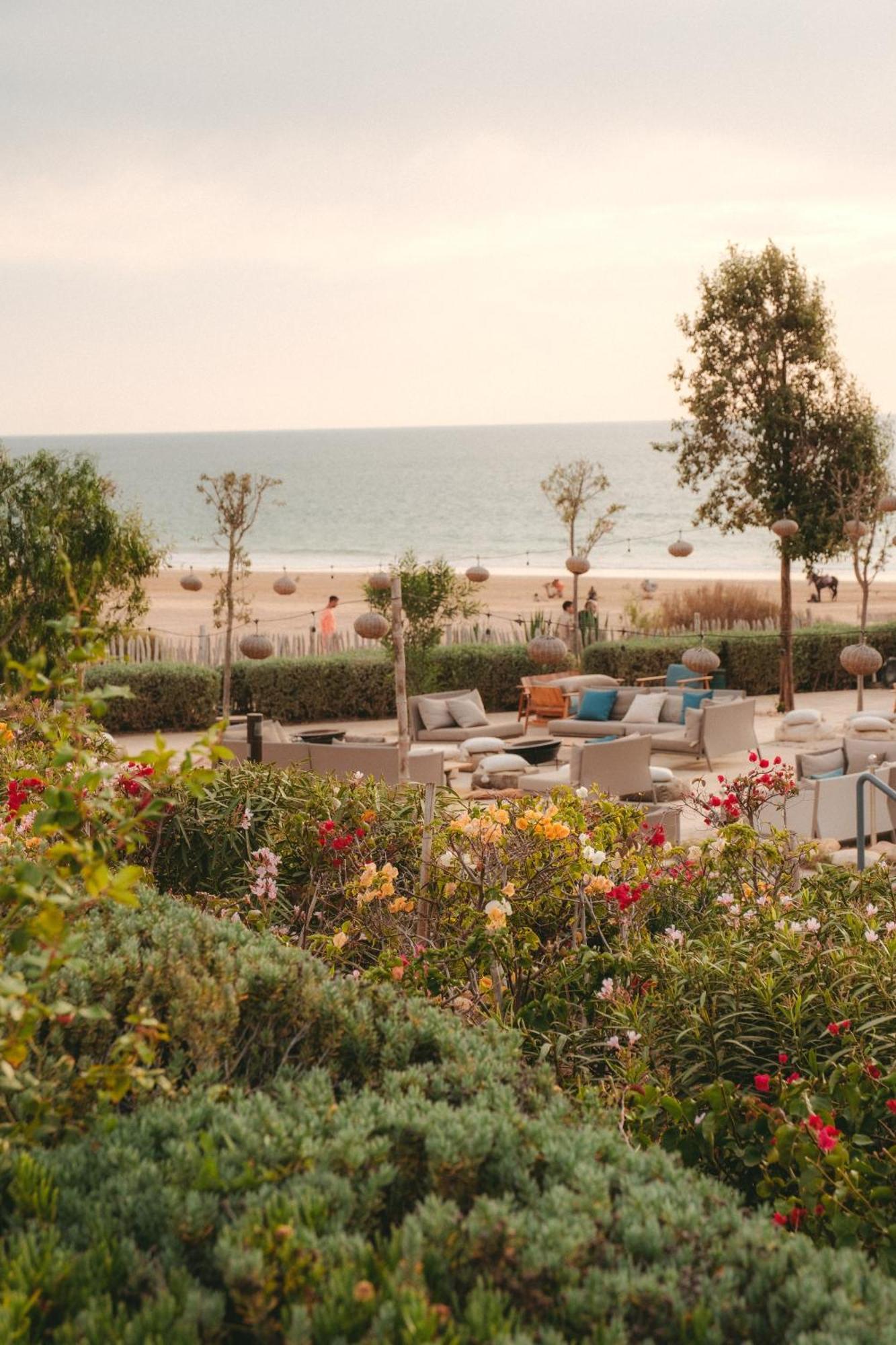 Hotel Hyatt Regency Taghazout Esterno foto The beach at the resort